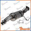 Filtres à Particules Diesel EURO6 pour NISSAN | DPF-PL-013, 8LG366071-381